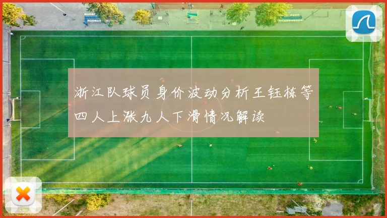 浙江队球员身价波动分析王钰栋等四人上涨九人下滑情况解读